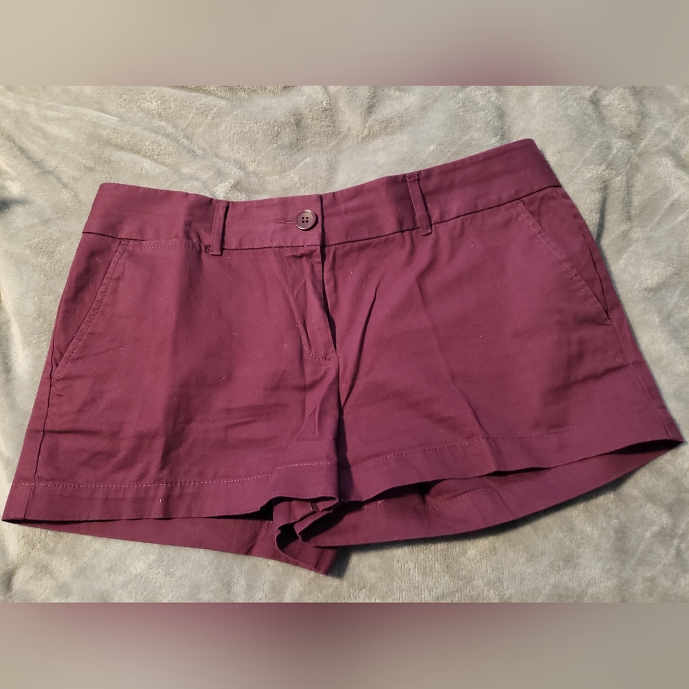 Loft Riviera 2 1/2 in short sz 6 burgundy